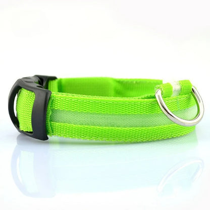 Night Safety LED Dog Collar – Durable Design for Small/Medium Pets!