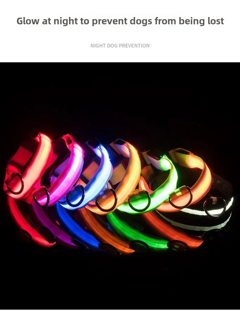 Night Safety LED Dog Collar – Durable Design for Small/Medium Pets!