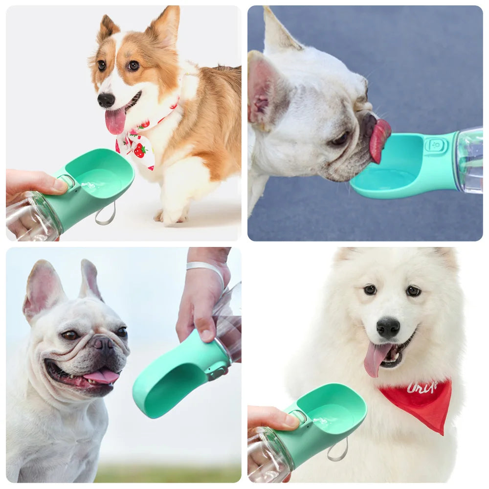 Portable Leakproof Pet Water Bottle for Dogs & Cats - Travel Friendly!