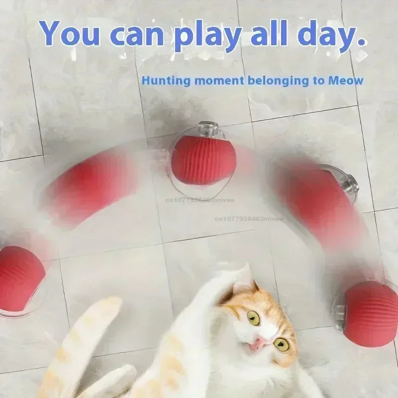 Magic Rolling Cat Toy - Interactive Fun!