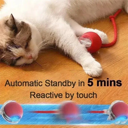 Magic Rolling Cat Toy - Interactive Fun!