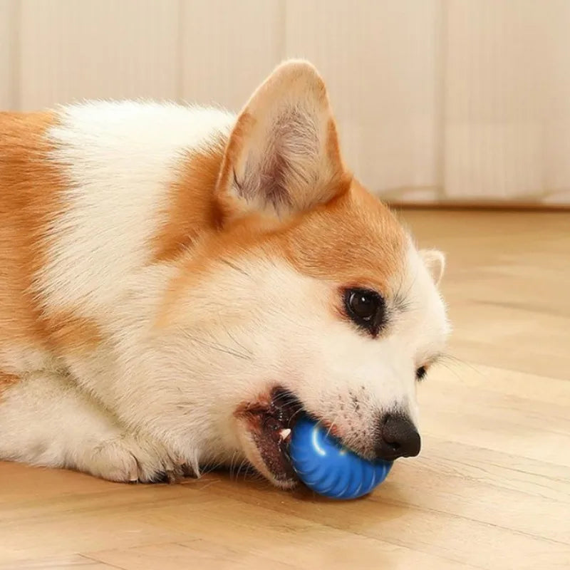 Automatic Interactive Dog Chew Ball - Smart USB Jumping & Rotating Toy!