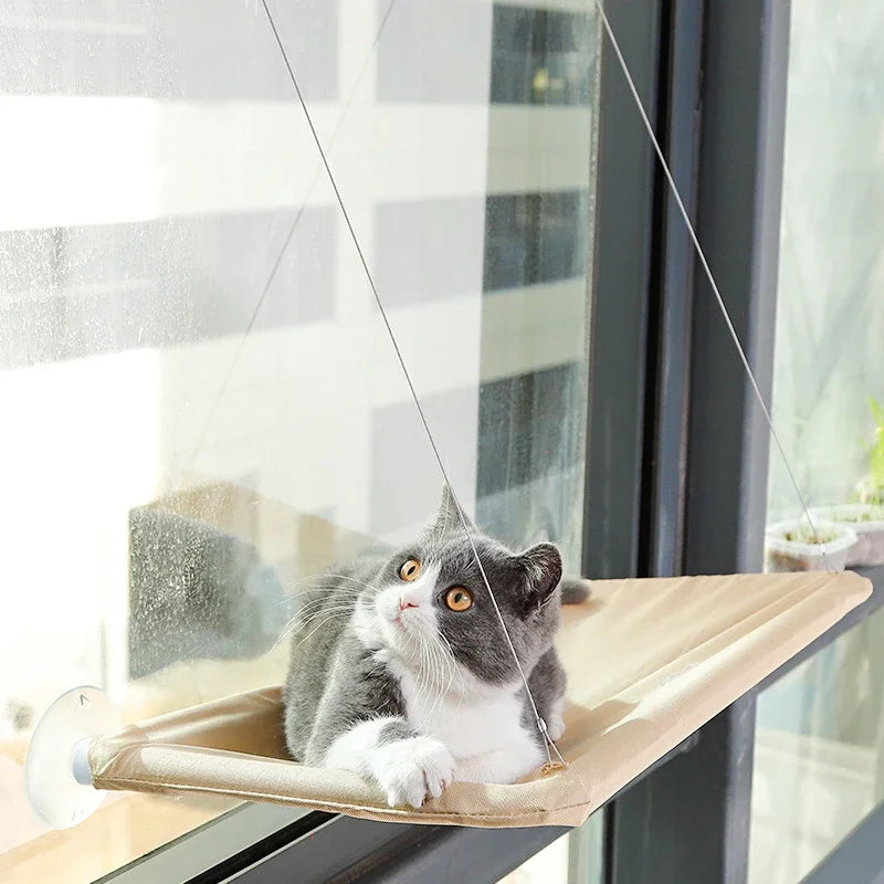 20KG Cat Hammock Window Bed - Comfortable Climbing Frame!