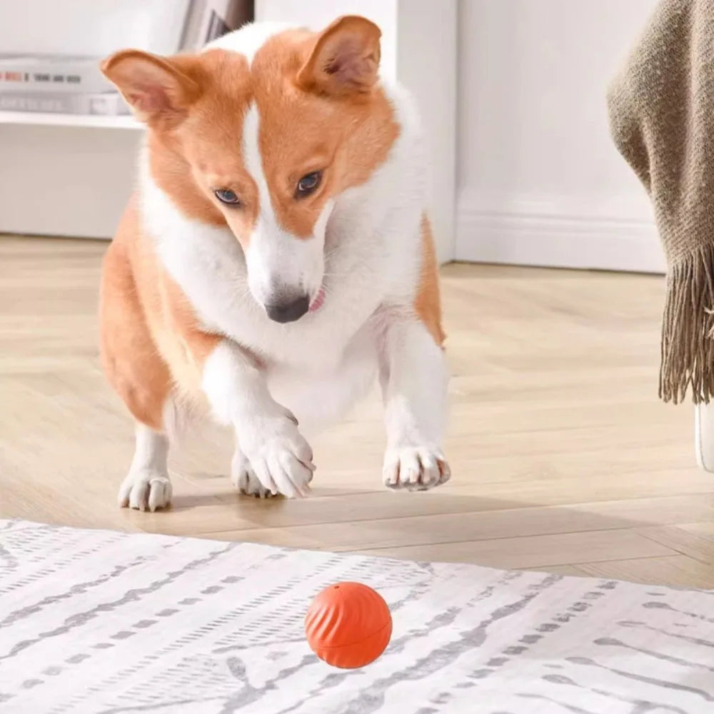 Automatic Interactive Dog Chew Ball - Smart USB Jumping & Rotating Toy!