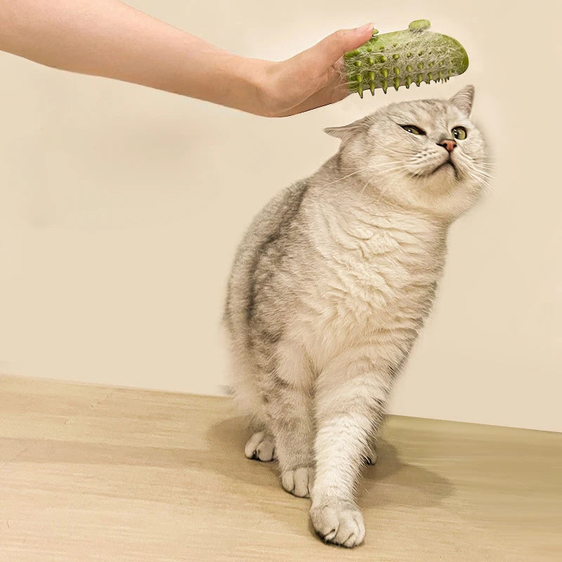 Self-Cleaning Cat Grooming Brush & Wall Scratcher Combo!