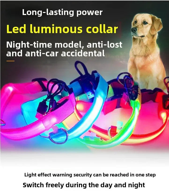 Night Safety LED Dog Collar – Durable Design for Small/Medium Pets!