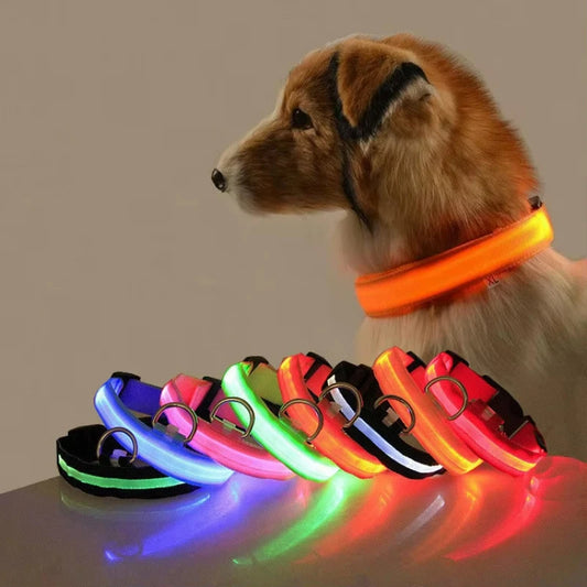 Night Safety LED Dog Collar – Durable Design for Small/Medium Pets!