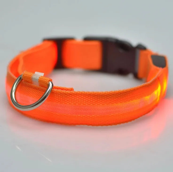 Night Safety LED Dog Collar – Durable Design for Small/Medium Pets!