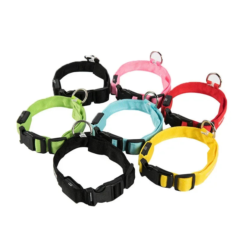 Night Safety LED Dog Collar – Durable Design for Small/Medium Pets!