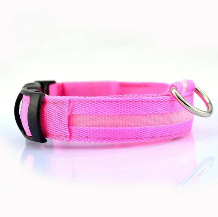 Night Safety LED Dog Collar – Durable Design for Small/Medium Pets!