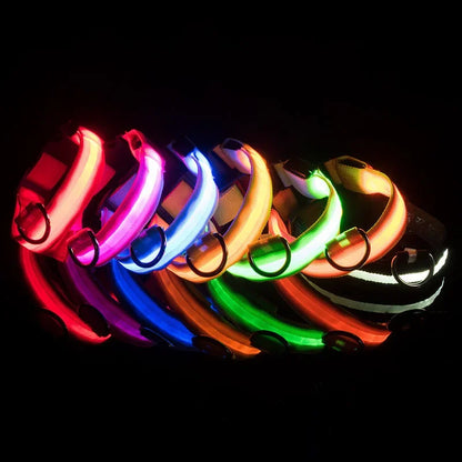 Night Safety LED Dog Collar – Durable Design for Small/Medium Pets!